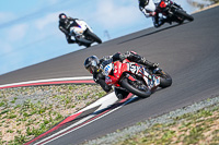 cadwell-no-limits-trackday;cadwell-park;cadwell-park-photographs;cadwell-trackday-photographs;enduro-digital-images;event-digital-images;eventdigitalimages;no-limits-trackdays;peter-wileman-photography;racing-digital-images;snetterton;snetterton-no-limits-trackday;snetterton-photographs;snetterton-trackday-photographs;trackday-digital-images;trackday-photos